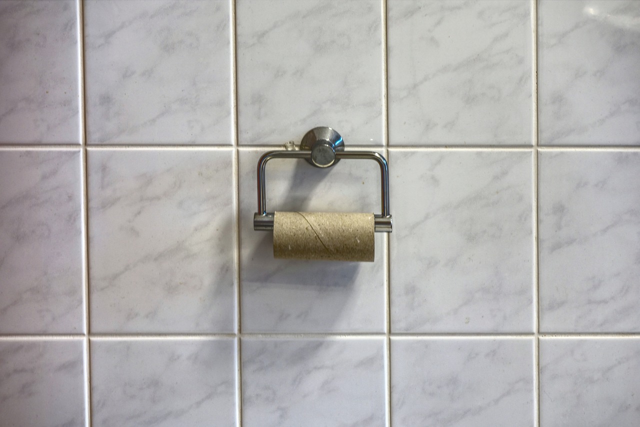 toilet-paper-4952899_1280