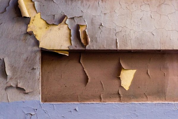 pexels-victormoragriega-30314344